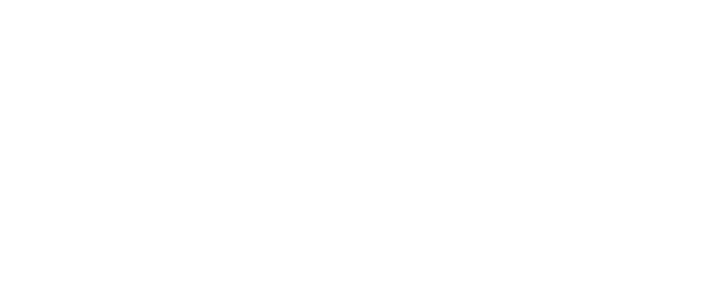 Crestview Chiropractic Logo White